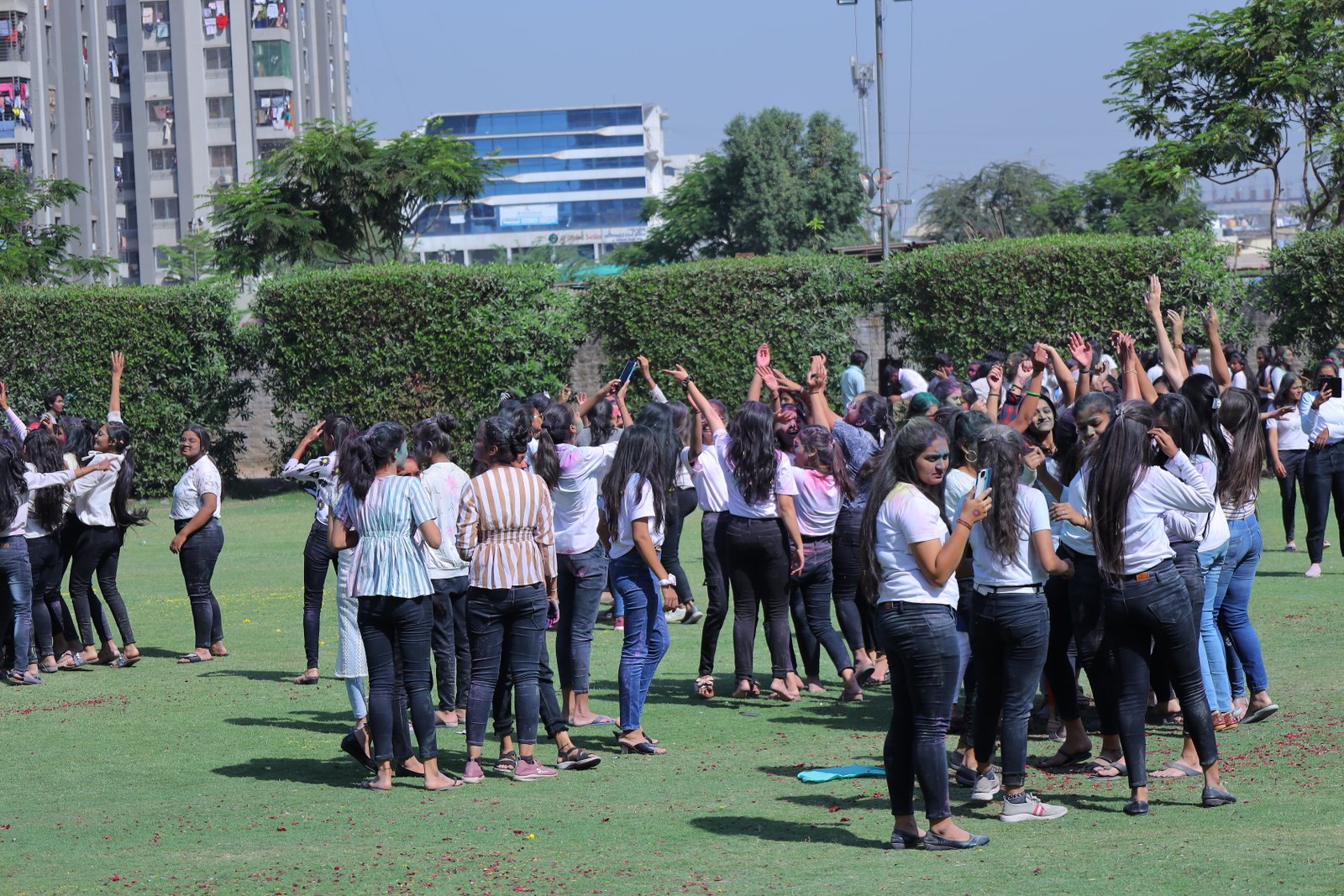 Holi Celebration